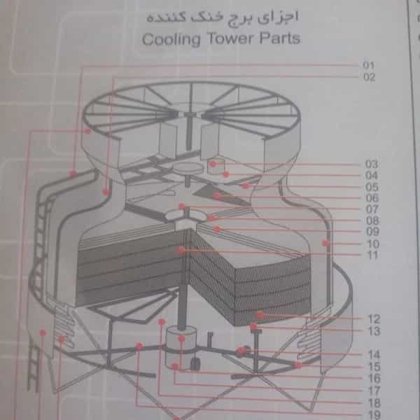 1699689209383.webp